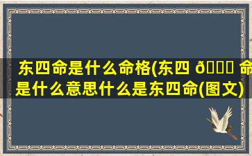 东四命是什么命格(东四 🐘 命是什么意思什么是东四命(图文))